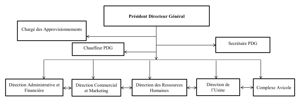 organigramme